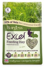 Сено Burgess Excel Dried Fresh Grass, 1кг цена и информация | Корм для грызунов | 220.lv