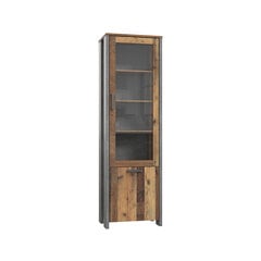 Шкаф-витрина Clif-II, тёмно-серый/винтажный дуб цена и информация | Витрины, серванты | 220.lv