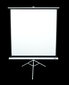 Projektora ekrāns Elite Screens Tripod Series, 113 / 1:1 - T113NWS1 cena un informācija | Ekrāni projektoriem | 220.lv