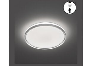 Griestu gaismeklis цена и информация | Потолочные светильники | 220.lv