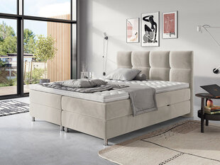 Kontinentālā gulta Dave, 160 x 200 cm, gaiši pelēka цена и информация | Кровати | 220.lv