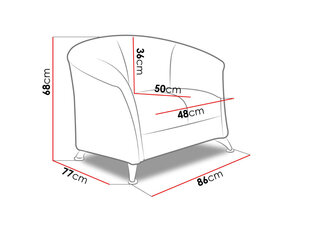 Кресло OLIER цена и информация | Кресла в гостиную | 220.lv