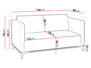 Dīvāns SZAFIR 2, rozā, ozola kāju apdare цена и информация | Диваны | 220.lv