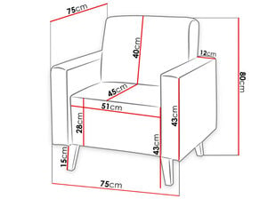 Кресло OVIEDO цена и информация | Кресла в гостиную | 220.lv