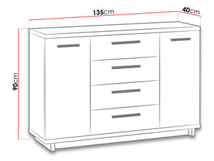 Комод Ines цена и информация | Шкафчики в гостиную | 220.lv
