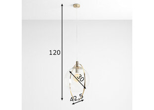 Griestu lampa Aura, zelta toņa/caurspīdīga, 60 W 891149878 cena un informācija | Griestu lampas | 220.lv