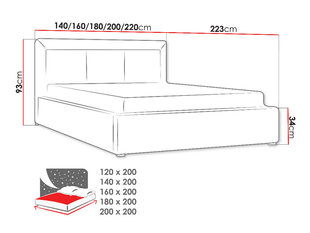 Gulta Moden, 200 x 200 cm, ar paceļamām gultas redelēm, zaļa cena un informācija | Gultas | 220.lv