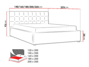 Gulta Malmo, 120 x 200 cm, ar paceļamām redelēm, zaļa cena un informācija | Gultas | 220.lv