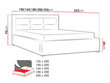 Gulta Clasic 120x200 cm ar paceļamu pamatni цена и информация | Gultas | 220.lv