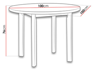 Обеденный стол Poli цена и информация | Кухонные и обеденные столы | 220.lv