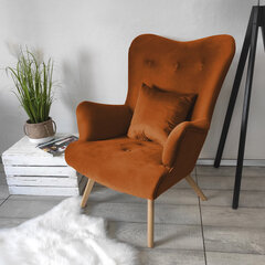 Кресло Skandynawski Bujany, коричневое цена и информация | Кресла в гостиную | 220.lv