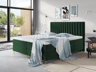 Kontinentālā gulta ELEGANCE, 140 x 200 cm, apdare Fresh 13 цена и информация | Кровати | 220.lv