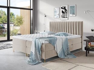 Kontinentālā gulta ELEGANCE, 160 x 200 cm, apdare Fresh 01 цена и информация | Кровати | 220.lv
