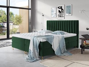 Kontinentālā gulta ELEGANCE, 180 x 200 cm, apdare Fresh 13 цена и информация | Кровати | 220.lv