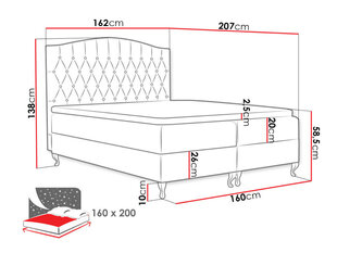 Kontinentālā gulta Puerto, 160 x 200 cm, apdare Kronos 31 cena un informācija | Gultas | 220.lv