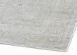 Narma paklājs Maya, Silver, 275x185 cm cena un informācija | Paklāji | 220.lv