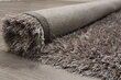 Vercai Rugs paklājs Soho, gaiši pelēkā krāsā - dažādi izmēri цена и информация | Paklāji | 220.lv