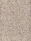 Narma bārkšu paklājs SPICE, bēšā krāsā - dažādi izmēri цена и информация | Paklāji | 220.lv