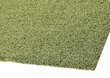 Narma bārkšu paklājs SPICE, zaļā krāsā - dažādi izmēri atsauksme