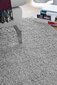 Narma bārkšu paklājs SPICE, pelēkā krāsā - dažādi izmēri, Narma narmasvaip Spice, hall, 120 x 160 cm internetā