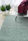Narma bārkšu paklājs SPICE, mētras zaļā krāsā - dažādi izmēri, Narma narmasvaip Spice, mündiroheline, 160 x 240 cm