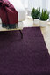 Narma bārkšu paklājs SPICE, lilla - dažādi izmēri cena un informācija | Paklāji | 220.lv