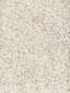 Narma bārkšu paklājs SPICE, baltā krāsā - dažādi izmēri cena un informācija | Paklāji | 220.lv
