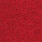 Paklājs Aruba, sarkanā krāsā - dažādi izmēri цена и информация | Paklāji | 220.lv