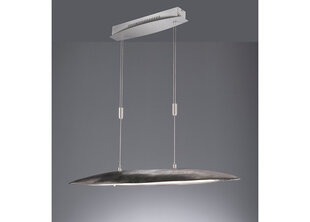 Griestu lampa Colmar LED, antīka niķeļa/niķeļa toņa, 25 W/2800 lm 890932892 cena un informācija | Griestu lampas | 220.lv