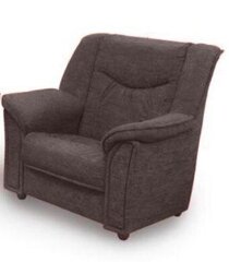Кресло Manchester, коричневое цена и информация | Кресла в гостиную | 220.lv