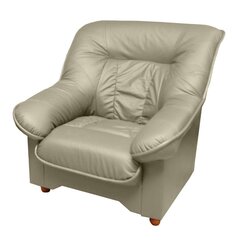 Кресло Spencer K, песочное цена и информация | Кресла в гостиную | 220.lv