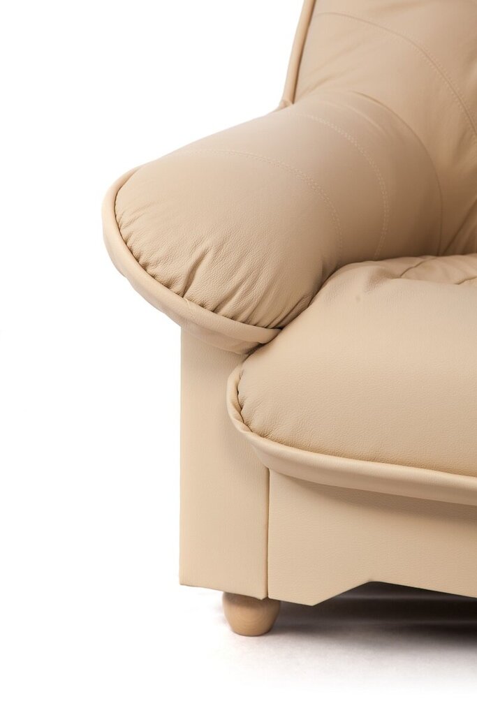 Atzveltnes krēsls Spencer, pārklāts ar ādu цена и информация | Atpūtas krēsli | 220.lv