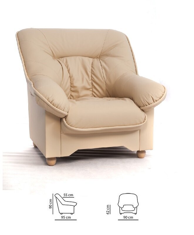 Atzveltnes krēsls Spencer, pārklāts ar ādu cena un informācija | Atpūtas krēsli | 220.lv