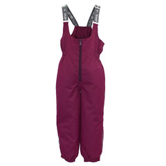 Huppa детские зимние штаны FUNNY, бордовый  907143480 цена и информация | Зимняя одежда для детей | 220.lv