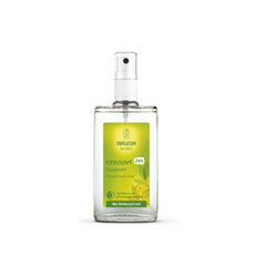 Weleda Citrus dezodorants 200 ml cena un informācija | Dezodoranti | 220.lv