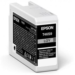 Epson UltraChrome Pro 10 ink T46S9 Ink c cena un informācija | Tintes kārtridži | 220.lv