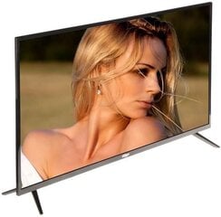 LCD monitori|DAHUA|Dzīves novērošana|LM43-F200 цена и информация | Мониторы | 220.lv