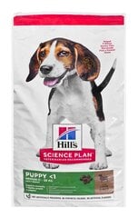 Hill's Science Plan Puppy Medium suņu barība ar jēra gaļu un rīsiem, 14 kg cena un informācija | Sausā barība suņiem | 220.lv