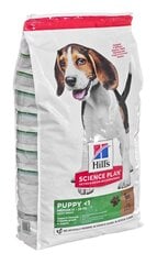 Hill's Science Plan Puppy Medium suņu barība ar jēra gaļu un rīsiem, 14 kg цена и информация | Сухой корм для собак | 220.lv