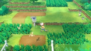 Игра Pokémon: Let's Go, Pikachu! для Nintendo Switch, 045496423155 цена и информация | Игра SWITCH NINTENDO Монополия | 220.lv