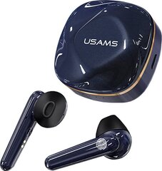 Usams BHUSD02 SD серии True Stereo BT 5.0 Беспроводные Hi-Fi Наушники с с сенсорным управлением / HD Микр. и Зарядным Чехлом Черные цена и информация | Usams Компьютерная техника | 220.lv