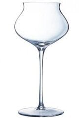 Macaron Fascination šampanieša glāze, 30 cl cena un informācija | Glāzes, krūzes, karafes | 220.lv