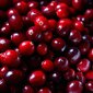 Mitrinošs dienas sejas krēms „GoCranberry“, 50 ml cena un informācija | Sejas krēmi | 220.lv