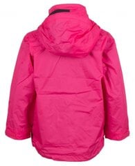 Детская весенне-осенняя куртка Helly Hansen Duro 43154-146-176 цена и информация | Куртки для мальчиков | 220.lv