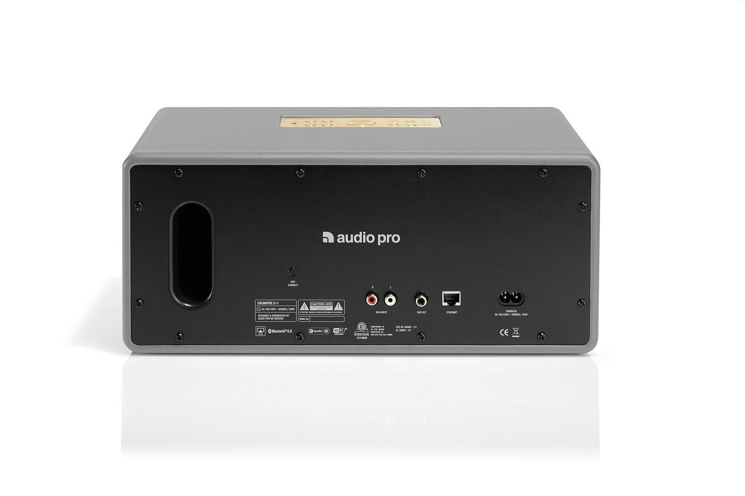 Audio Pro Drumfire D-1, pelēks cena un informācija | Skaļruņi | 220.lv