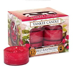 Yankee Candle Red Raspberry aromātiska svece 12 x 9.8 g cena un informācija | Sveces un svečturi | 220.lv