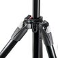 Manfrotto statīva komplekts MK290XTA3-BH cena un informācija | Fotokameru statīvi | 220.lv