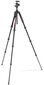 Manfrotto statīva komplekts Befree Advanced MKBFRTA4RD-BH, sarkans cena un informācija | Fotokameru statīvi | 220.lv