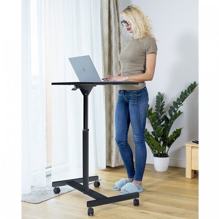 Tatkraft Focus Airlift Sit-Stand mobilais ergonomiskais datora galds cena un informācija | Datorgaldi, rakstāmgaldi, biroja galdi | 220.lv