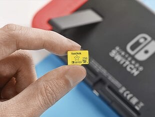 SanDisk 256GB microSDXC card for Nintendo Switch consoles up to 100 MB/s UHS-I Class 10 U3 цена и информация | Карты памяти для телефонов | 220.lv